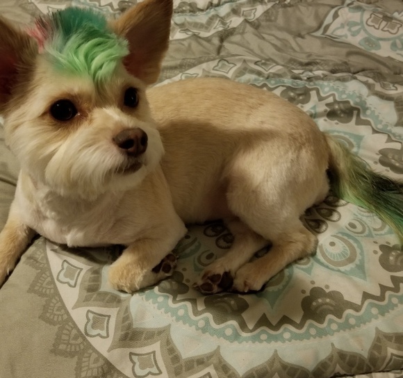 Did You Just Hit Like On An Item? - Picture 2 of 4